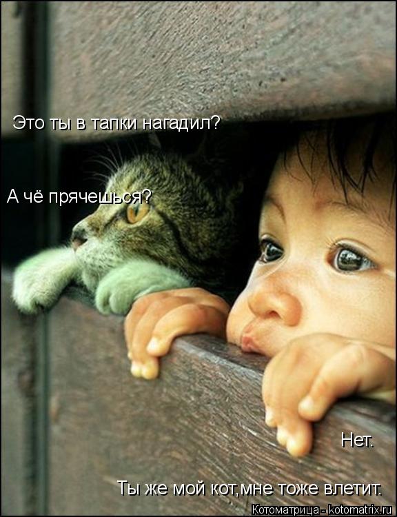 Это ты в тапки нагадил? Нет. А чё прячешься? Ты же мой кот,мне тоже влетит.... Котоматрица: Это ты в тапки нагадил? Нет. А чё прячешься? Ты же мой кот,мне тоже влетит.