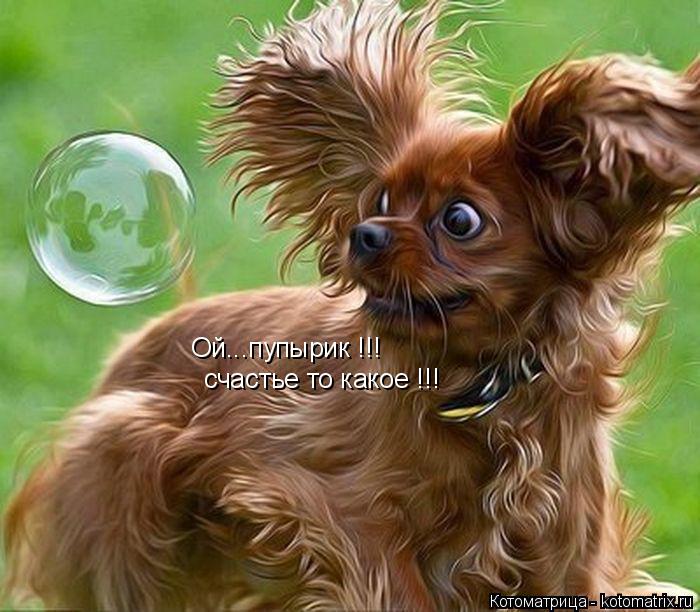 Ой...пупырик !!! счастье то какое !!!... Котоматрица: Ой...пупырик !!! счастье то какое !!!