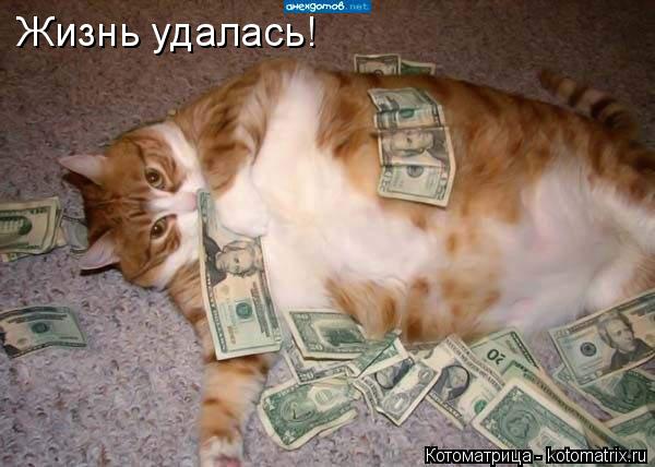 Котоматрица: Жизнь удалась!