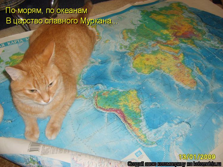 По морям, по океанам В царство славного Муркана...... Котоматрица: По морям, по океанам В царство славного Муркана...
