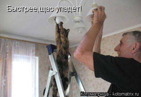 Быстрее,щас упадёт!... Котоматрица: Быстрее,щас упадёт!