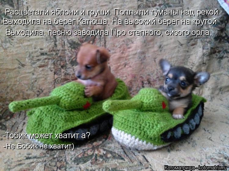 Расцветали яблони и груши, Поплыли туманы над рекой. Выходила на берег Катюша, На высокий берег на кр... Котоматрица: Расцветали яблони и груши, Поплыли туманы над рекой. Выходила на берег Катюша, На высокий берег на крутой Выходила, песню заводила Про степн
