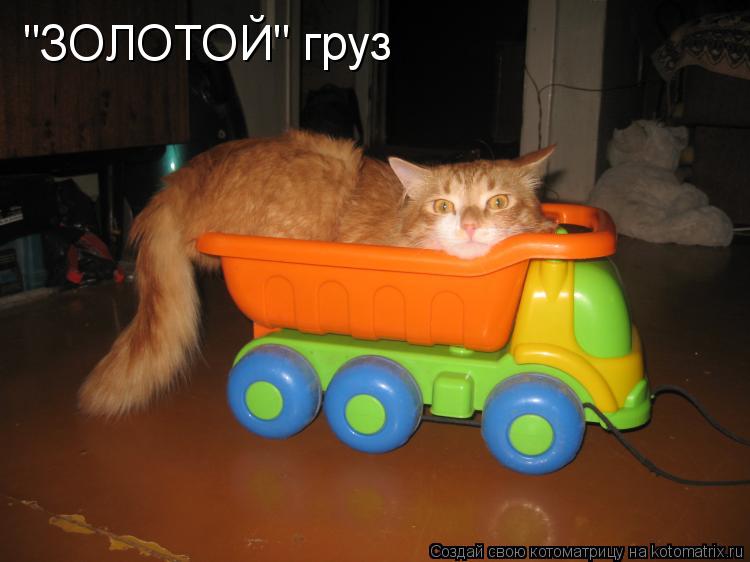 Котоматрица: "ЗОЛОТОЙ" груз