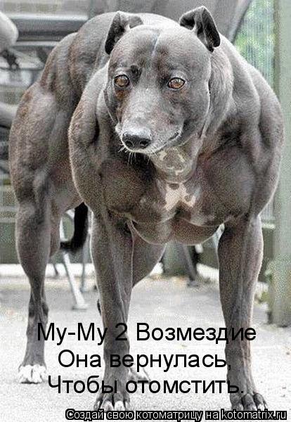 Му-Му 2 Возмездие Она вернулась, Чтобы отомстить.... Котоматрица: Му-Му 2 Возмездие Она вернулась, Чтобы отомстить.