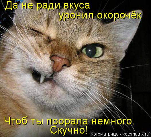 Котоматрица: Да не ради вкуса уронил окорочёк Чтоб ты поорала немного. Скучно!