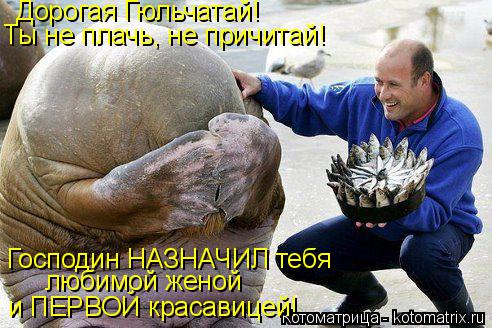 Котоматрица: Господин НАЗНАЧИЛ тебя  и ПЕРВОЙ красавицей! любимой женой  Дорогая Гюльчатай!  Ты не плачь, не причитай!