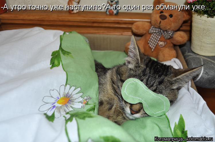 -А утро точно уже наступило?А то один раз обманули уже...... Котоматрица: -А утро точно уже наступило?А то один раз обманули уже...