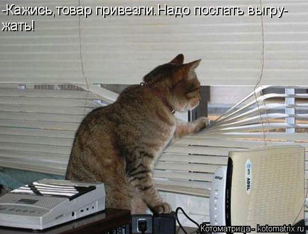 -Кажись,товар привезли.Надо послать выгру- жать!... Котоматрица: -Кажись,товар привезли.Надо послать выгру- жать!
