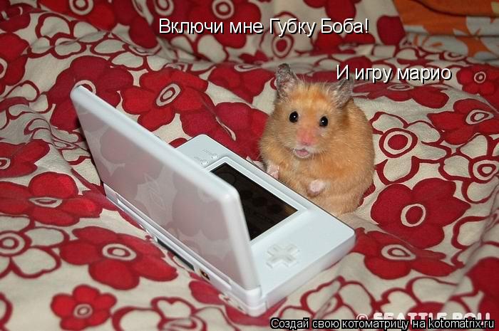 Котоматрица: Включи мне Губку Боба! И игру марио
