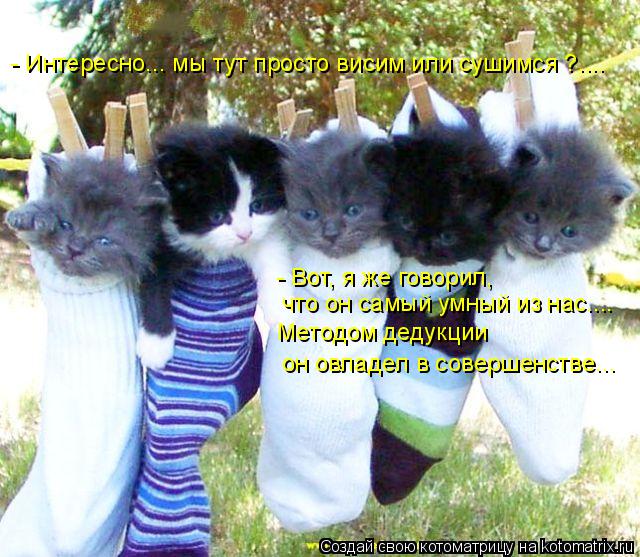 Котоматрица: - Интересно... мы тут просто висим или сушимся ?.... - Вот, я же говорил, что он самый умный из нас.... Методом дедукции  он овладел в совершенстве...