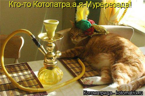 Кто-то Котопатра,а я-Муререзада!... Котоматрица: Кто-то Котопатра,а я-Муререзада!