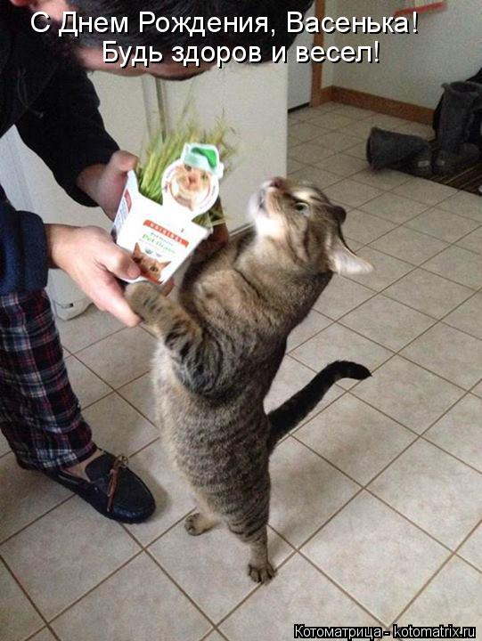 Котоматрица: С Днем Рождения, Васенька! Будь здоров и весел!