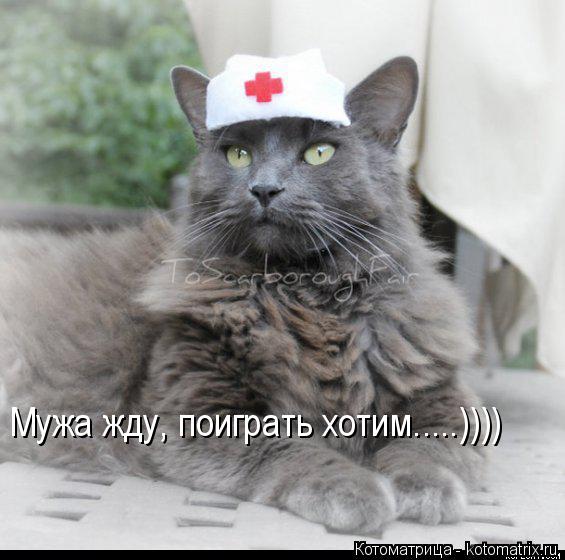 Котоматрица: Мужа жду, поиграть хотим.....))))