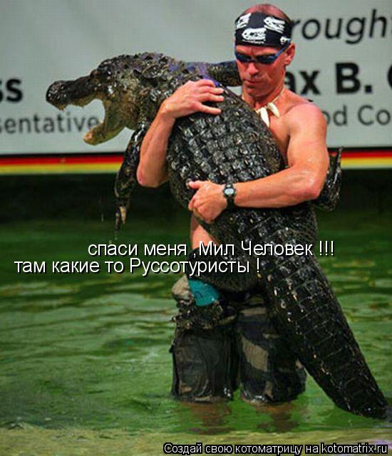 там какие то Руссотуристы ! спаси меня ,Мил Человек !!!... Котоматрица: там какие то Руссотуристы ! спаси меня ,Мил Человек !!!
