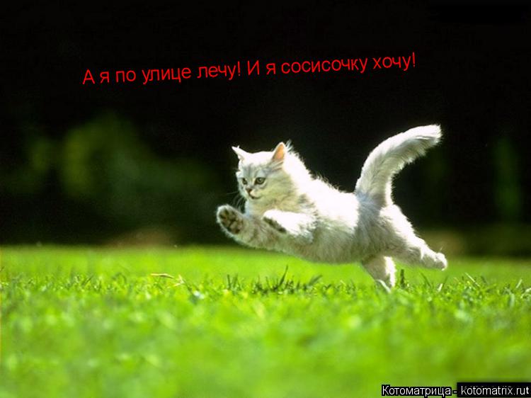 Котоматрица: А я по улице лечу! И я сосисочку хочу!