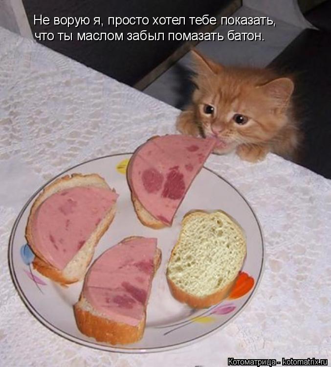Котоматрица: Не ворую я, просто хотел тебе показать, что ты маслом забыл помазать батон.