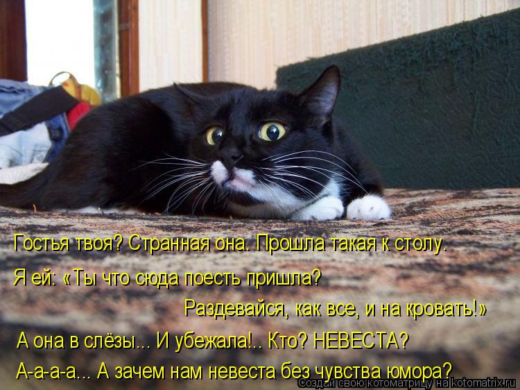 Котоматрица: Гостья твоя? Странная она. Прошла такая к столу.  Я ей: «Ты что сюда поесть пришла?  Раздевайся, как все, и на кровать!»  А она в слёзы... И убежал