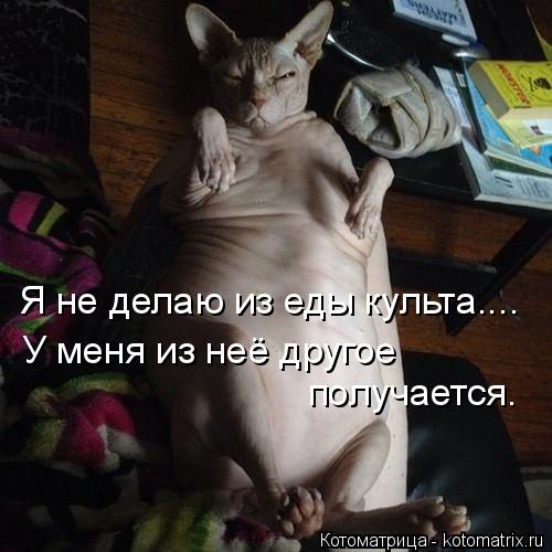 Котоматрица: Я не делаю из еды культа....  У меня из неё другое  получается.