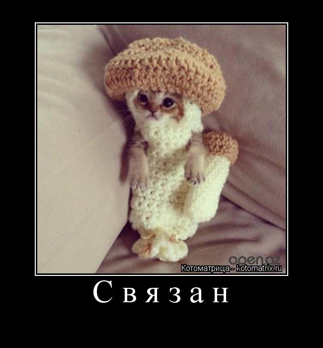 Связан ... Котоматрица: Связан