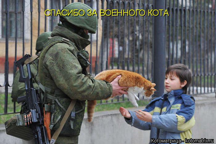 СПАСИБО ЗА ВОЕННОГО КОТА... Котоматрица: СПАСИБО ЗА ВОЕННОГО КОТА