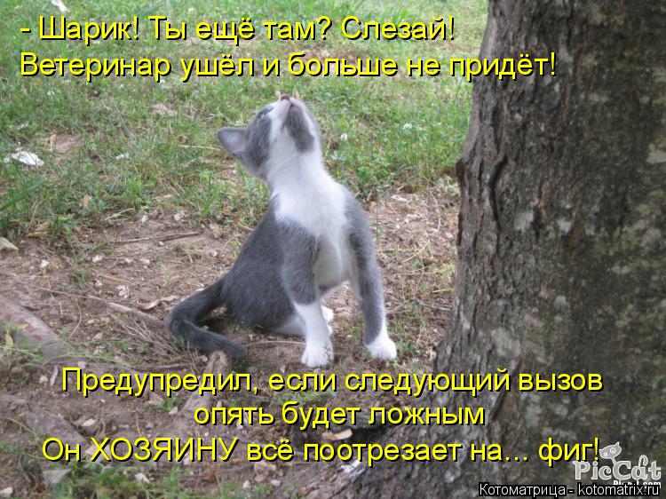 Котоматрица: - Шарик! Ты ещё там? Слезай! Ветеринар ушёл и больше не придёт! опять будет ложным Предупредил, если следующий вызов  Он ХОЗЯИНУ всё поотрезае