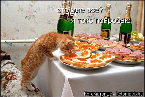 Котоматрица: -это мне все? -нет  -я токо попробаю