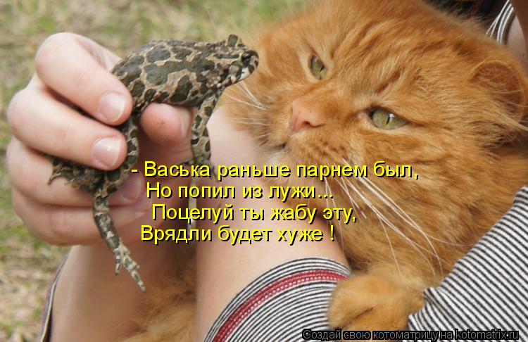 - Васька раньше парнем был, Но попил из лужи... Поцелуй ты жабу эту, Врядли будет хуже !... Котоматрица: - Васька раньше парнем был, Но попил из лужи... Поцелуй ты жабу эту, Врядли будет хуже !