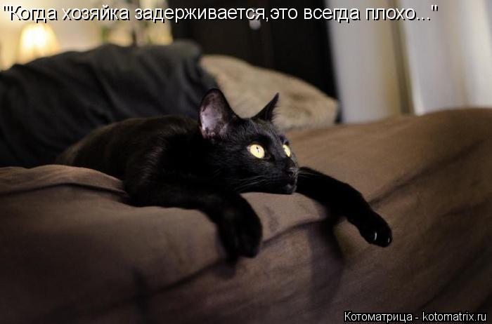 Котоматрица: "Когда хозяйка задерживается,это всегда плохо..."