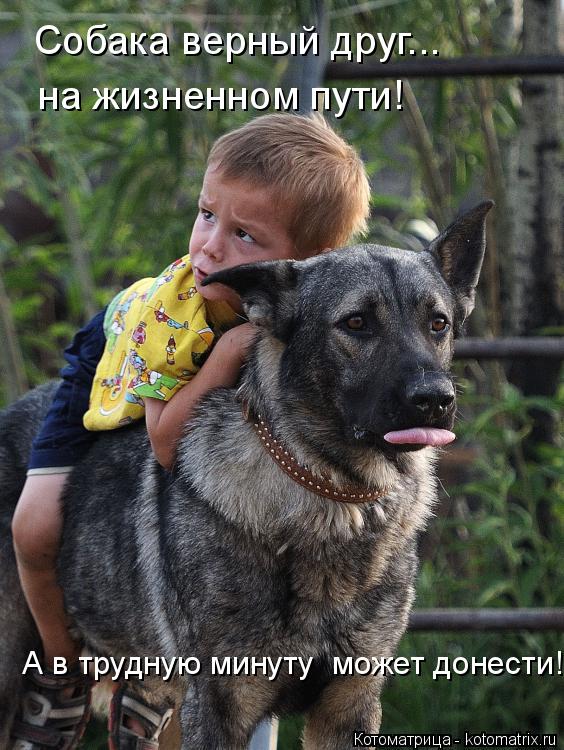 Собака верный друг... на жизненном пути! А в трудную минуту может донести!... Котоматрица: Собака верный друг... на жизненном пути! А в трудную минуту может донести!