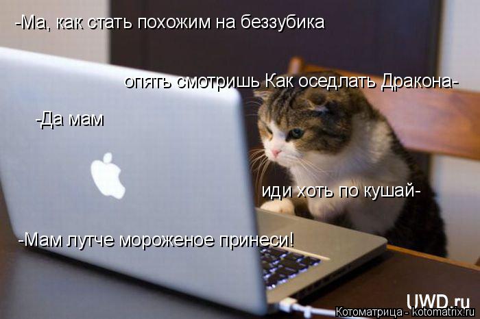 Котоматрица: -Ма, как стать похожим на беззубика опять смотришь Как оседлать Дракона- -Да мам иди хоть по кушай- -Мам лутче мороженое принеси!