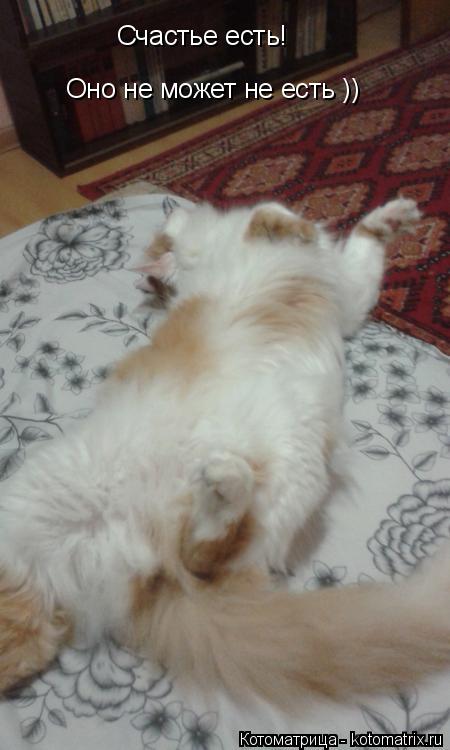 Счастье есть! Оно не может не есть ))... Котоматрица: Счастье есть! Оно не может не есть ))