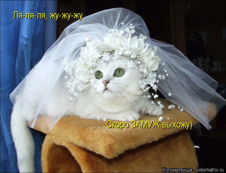 Ля-ля-ля, жу-жу-жу. Скоро ЗАМУЖ выхожу)... Котоматрица: Ля-ля-ля, жу-жу-жу. Скоро ЗАМУЖ выхожу)