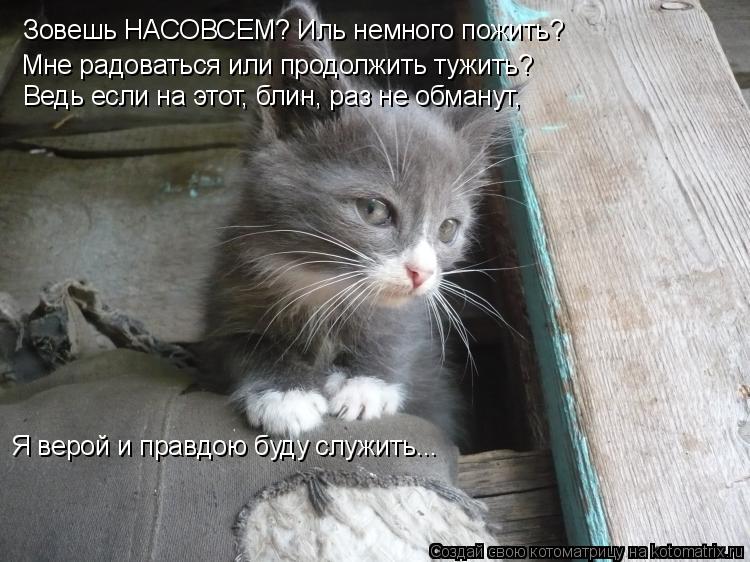 Зовешь НАСОВСЕМ? Иль немного пожить? Мне радоваться или продолжить тужить? Я верой и правдою буду сл... Котоматрица: Зовешь НАСОВСЕМ? Иль немного пожить? Мне радоваться или продолжить тужить? Я верой и правдою буду служить... Ведь если на этот, блин, раз не о