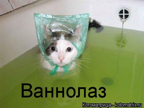 Котоматрица: Ваннолаз