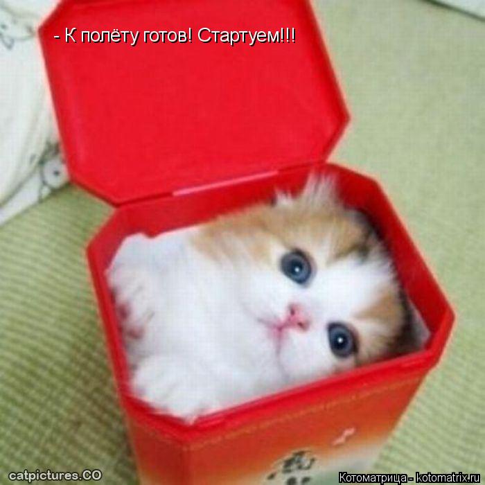 Котоматрица: - К полёту готов! Стартуем!!!