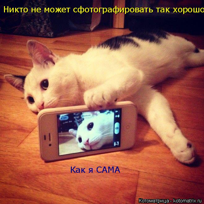 Никто не может сфотографировать так хорошо Как я САМА... Котоматрица: Никто не может сфотографировать так хорошо Как я САМА