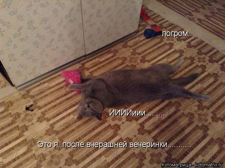 Котоматрица: Это я, после вчерашней вечеринки...........  погром... ИИИИиии..........