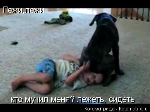 Лежи,лежи кто мучил меня? лежеть, сидеть... Котоматрица: Лежи,лежи кто мучил меня? лежеть, сидеть