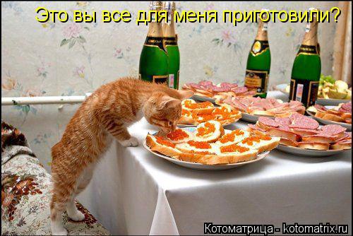 Котоматрица: Это вы все для меня приготовили?
