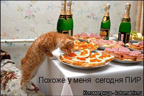 Похоже у меня сегодня ПИР... Котоматрица: Похоже у меня сегодня ПИР