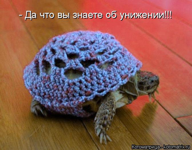 Котоматрица: - Да что вы знаете об унижении!!!