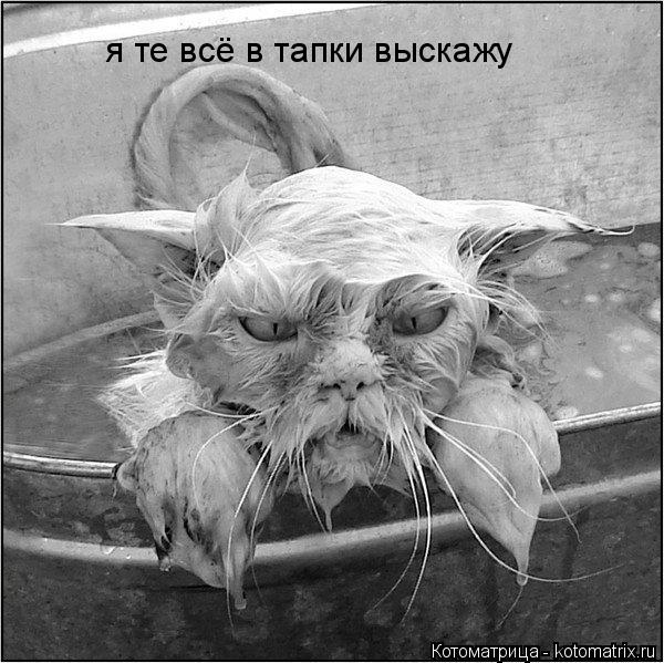 я те всё в тапки выскажу... Котоматрица: я те всё в тапки выскажу