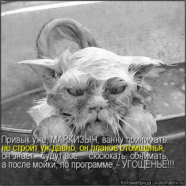 Привык уже, МАРКИЗЫЧ, ванну принимать... не строит уж давно, он планов отомщенья, не строит уж давно,... Котоматрица: Привык уже, МАРКИЗЫЧ, ванну принимать... не строит уж давно, он планов отомщенья, не строит уж давно, он планов отомщенья, он знает - будут все..