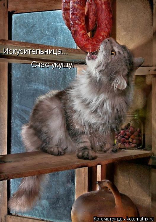 Искусительница... Счас укушу!... Котоматрица: Искусительница... Счас укушу!