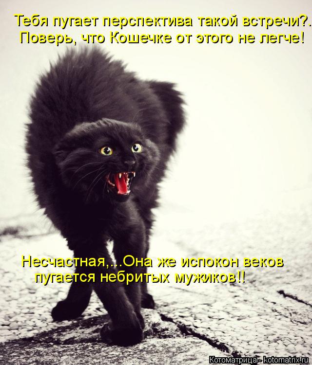 Тебя пугает перспектива такой встречи?... Поверь, что Кошечке от этого не легче! Несчастная,...Она же... Котоматрица: Тебя пугает перспектива такой встречи?... Поверь, что Кошечке от этого не легче! Несчастная,...Она же испокон веков пугается небритых мужиков!