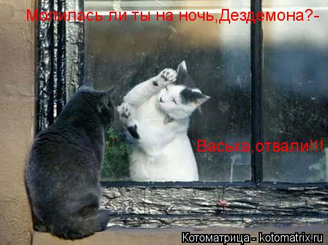 Молилась ли ты на ночь,Дездемона?- Васька,отвали!!!... Котоматрица: Молилась ли ты на ночь,Дездемона?- Васька,отвали!!!