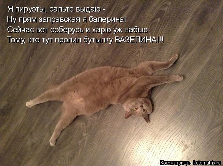 Я пируэты, сальто выдаю - Ну прям заправская я балерина! Тому, кто тут пролил бутылку ВАЗЕЛИНА!!! Се... Котоматрица: Я пируэты, сальто выдаю - Ну прям заправская я балерина! Тому, кто тут пролил бутылку ВАЗЕЛИНА!!! Сейчас вот соберусь и харю уж набью