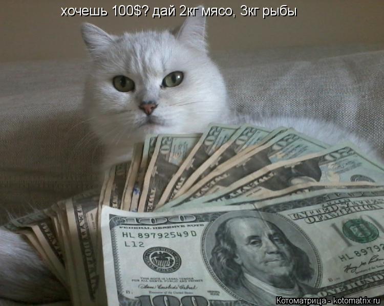 хочешь 100$? дай 2кг мясо, 3кг рыбы... Котоматрица: хочешь 100$? дай 2кг мясо, 3кг рыбы
