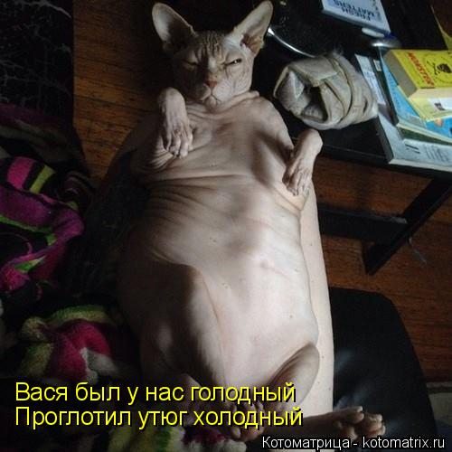 Вася был у нас голодный Проглотил утюг холодный... Котоматрица: Вася был у нас голодный Проглотил утюг холодный