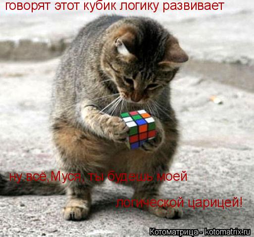 говорят этот кубик логику развивает ну всё,Муся, ты будешь моей логической царицей!... Котоматрица: говорят этот кубик логику развивает ну всё,Муся, ты будешь моей логической царицей!